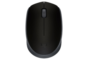 Logitech M170